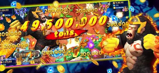 ak24hr
